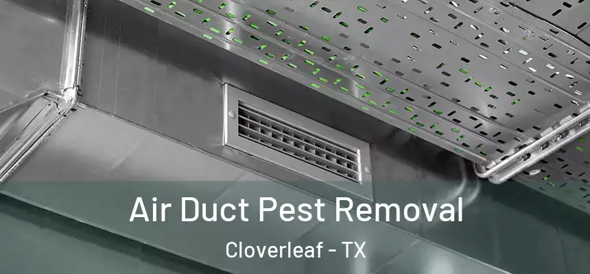  Air Duct Pest Removal Cloverleaf - TX