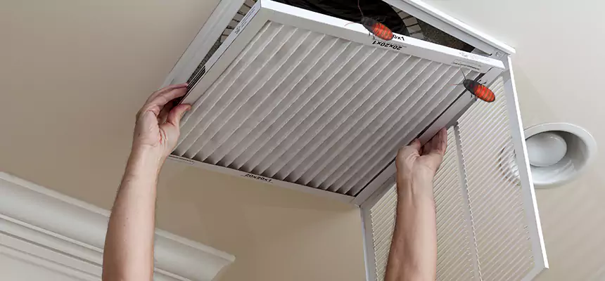 Preventive Cockroach-Proofing for Ducts in Cloverleaf
