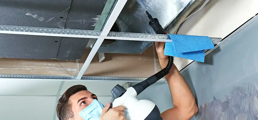 Our Air Duct Rodent Removal Services in Cloverleaf, TX