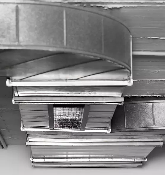 Professional Air Duct Pest Removal in Cloverleaf, TX