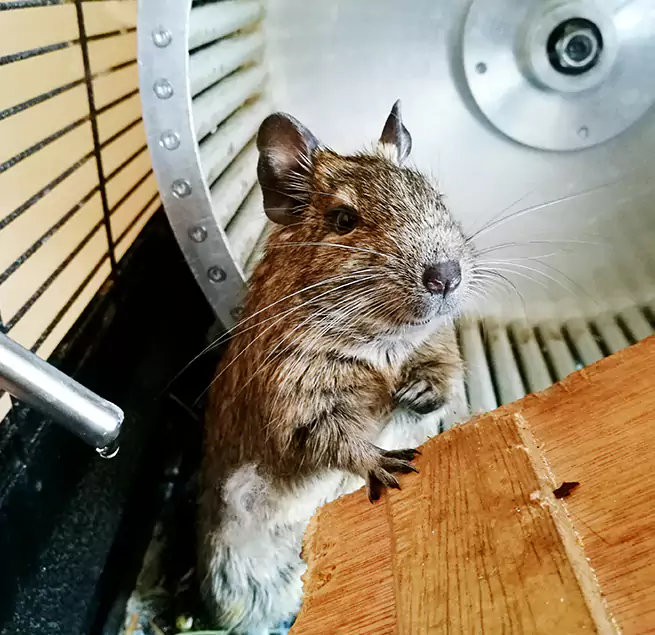 Why Homeowners & Businesses Trust Us Cloverleaf, TX?