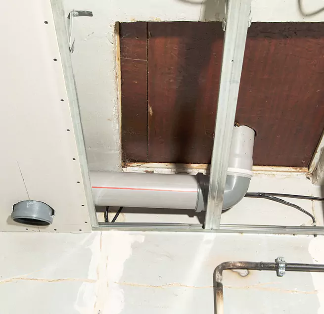 Why Homeowners & Businesses Trust Us in Cloverleaf, TX?