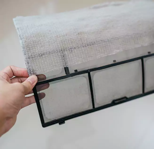 Why Homeowners & Businesses Trust Us in Cloverleaf, TX?