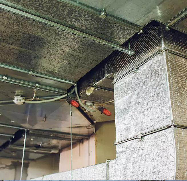 Why Homeowners & Businesses Trust Us Cloverleaf, TX?