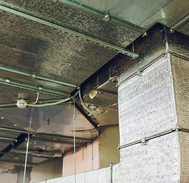 Why Homeowners & Businesses Trust Us in Cloverleaf, TX?