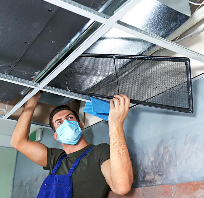 Why Homeowners Businesses Trust Us in Cloverleaf, TX?